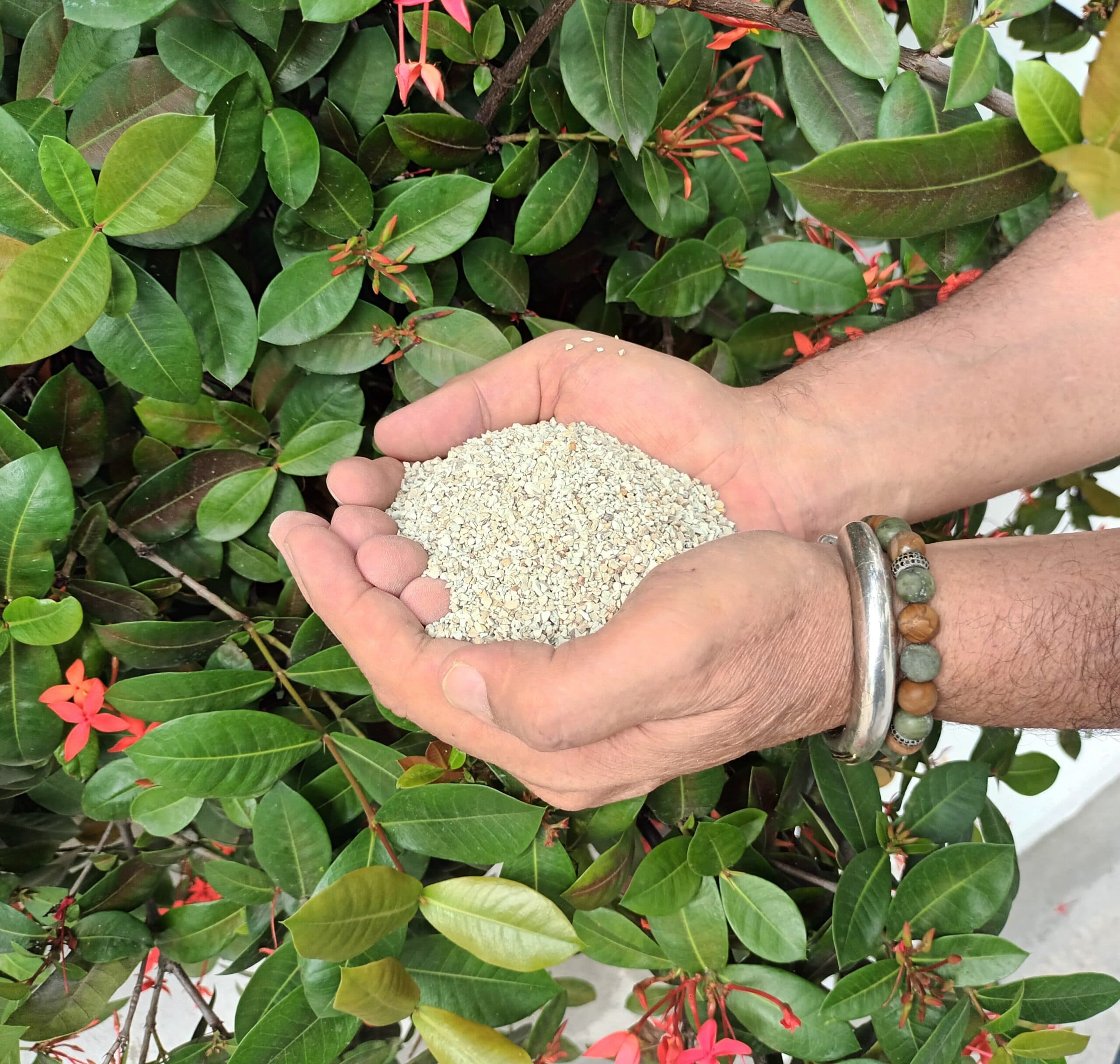 Zeolita y Soluciones Agroambientales