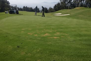 Manejo de hidrofobia y síntomas