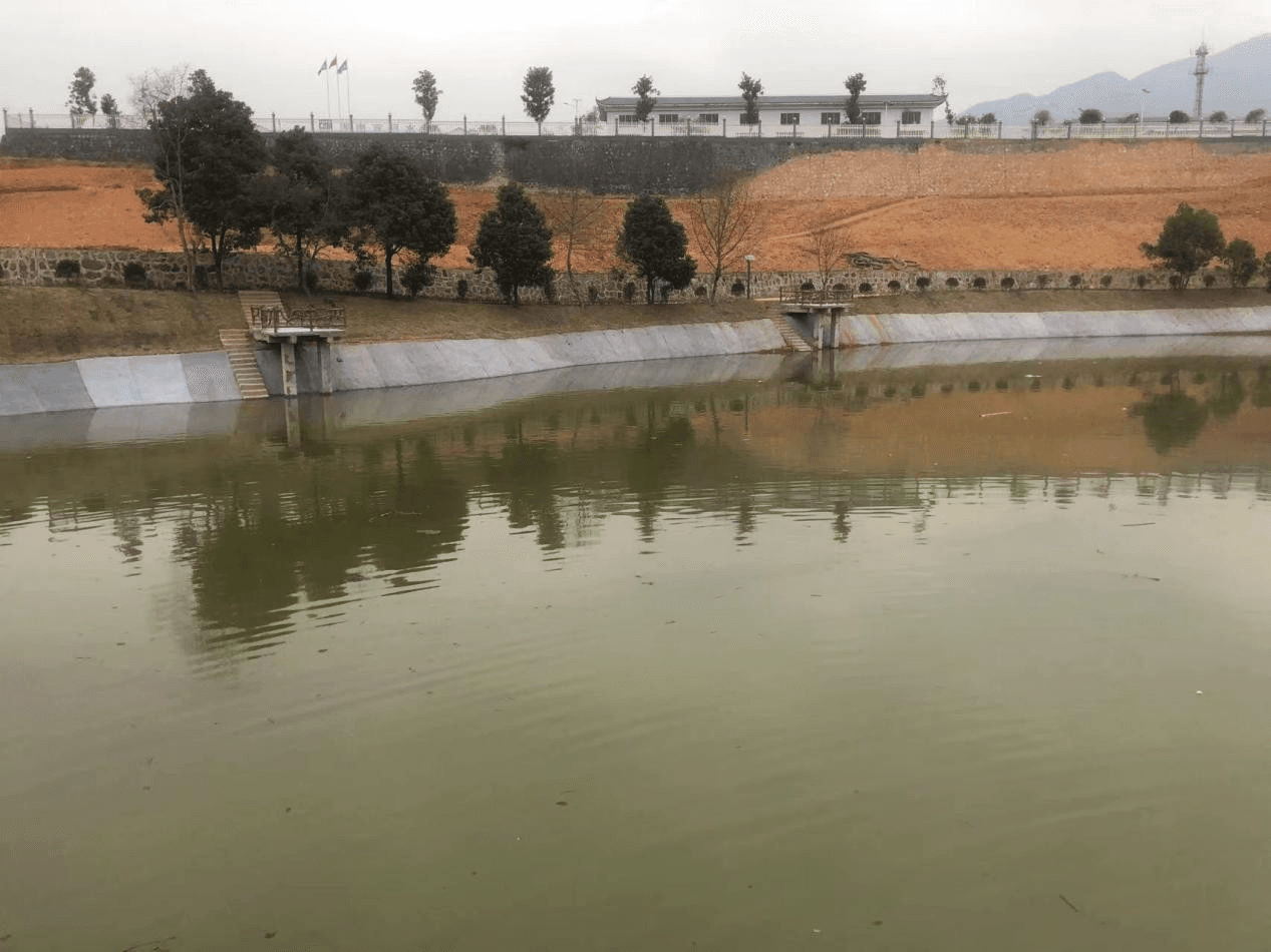 Revestimiento de Canales