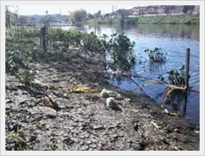 Recuperación de Suelos y Lodos Contaminados