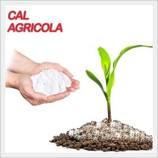Cal agrícola