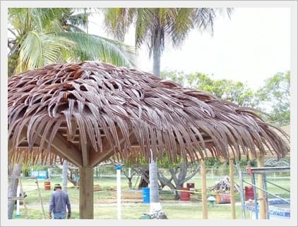 Apariencia tropical con mayor seguridad