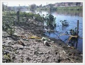 Recuperación minera y de suelos contaminados 1