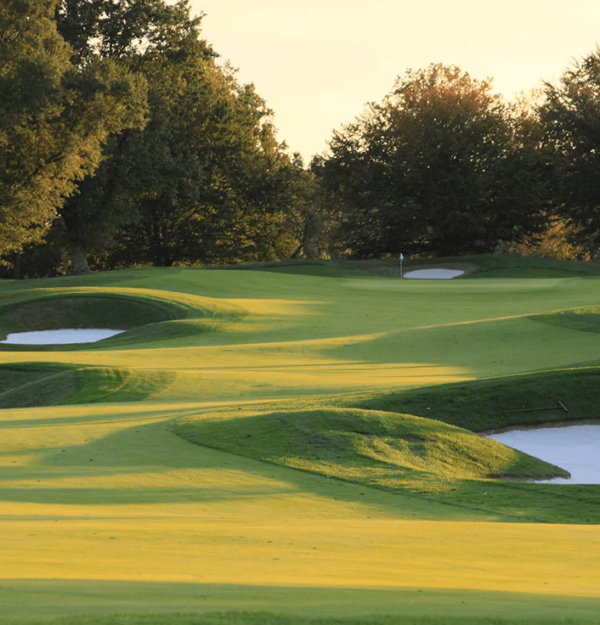 Rejuvenecedor de suelos y Control de Círculos de Hadas (Hongos) en Campos de Golf